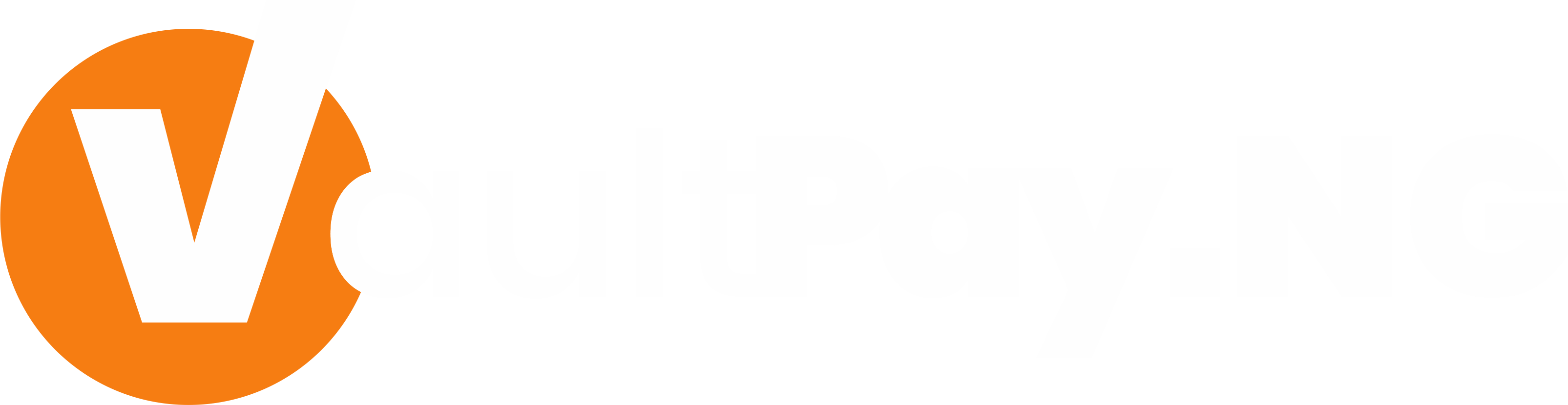 VAULTPAY.NG LOGO white